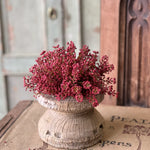 Bursting Astilbe Half Sphere, Sangria, 9"