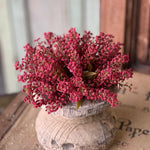 Bursting Astilbe Half Sphere, Sangria, 9"
