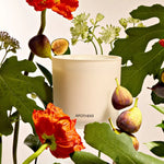 Fig & Olive 3-Wick Candle, 26 oz
