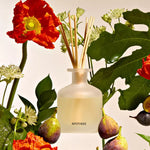 Fig & Olive Reed Diffuser, 6.7 fl oz