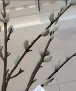 Pussy Willow Spray, Beige/Gray, 55"