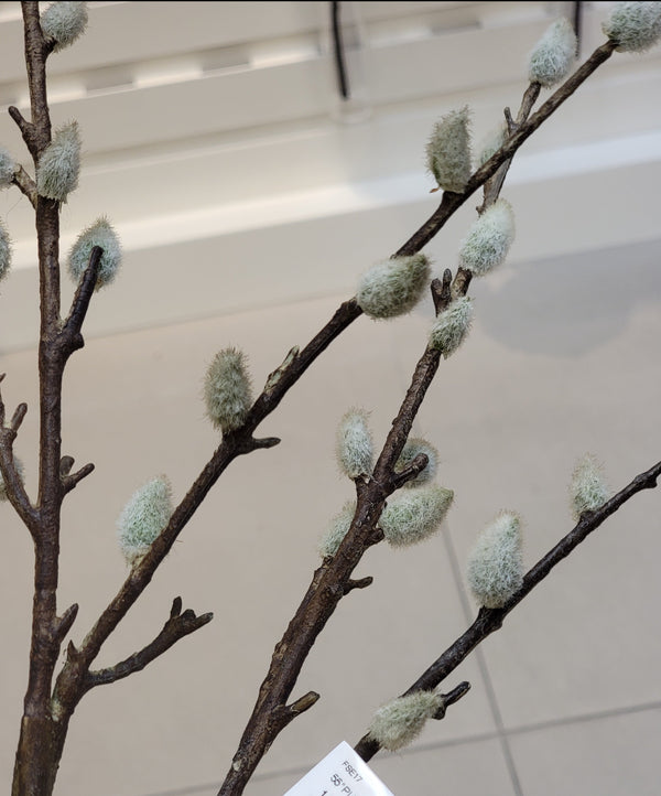 Pussy Willow Spray, Beige/Gray, 55"