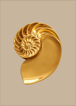 The Fossil Home Object
