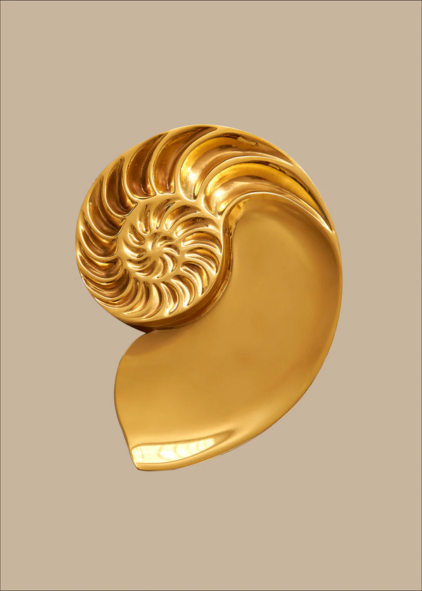 The Fossil Home Object