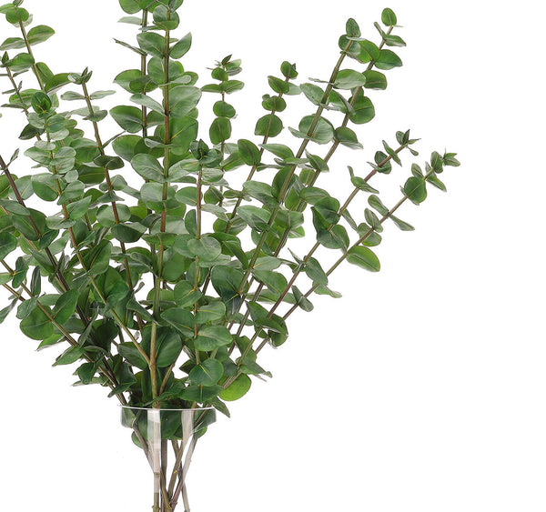 Green Eucalyptus, Faux Watergarden, 33"