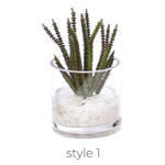 Succulent, Faux Greenery Watergarden, 8", 4 Styles, Sold Individually