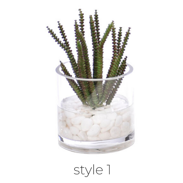 Succulent, Faux Greenery Watergarden, 8", 4 Styles, Sold Individually
