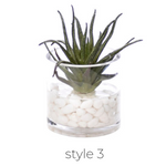 Succulent, Faux Greenery Watergarden, 8", 4 Styles, Sold Individually