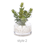 Succulent, Faux Greenery Watergarden, 8", 4 Styles, Sold Individually