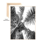 Black and White Palm Tree 24" X 32"