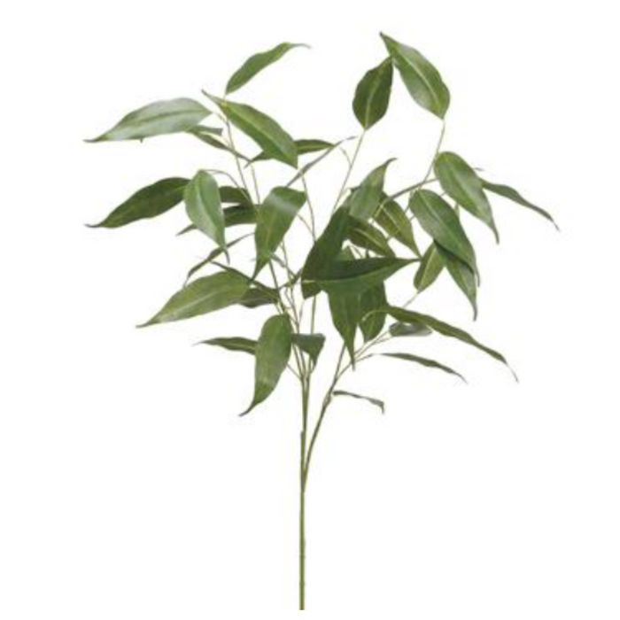 Eucalyptus Spray, Green, 39"