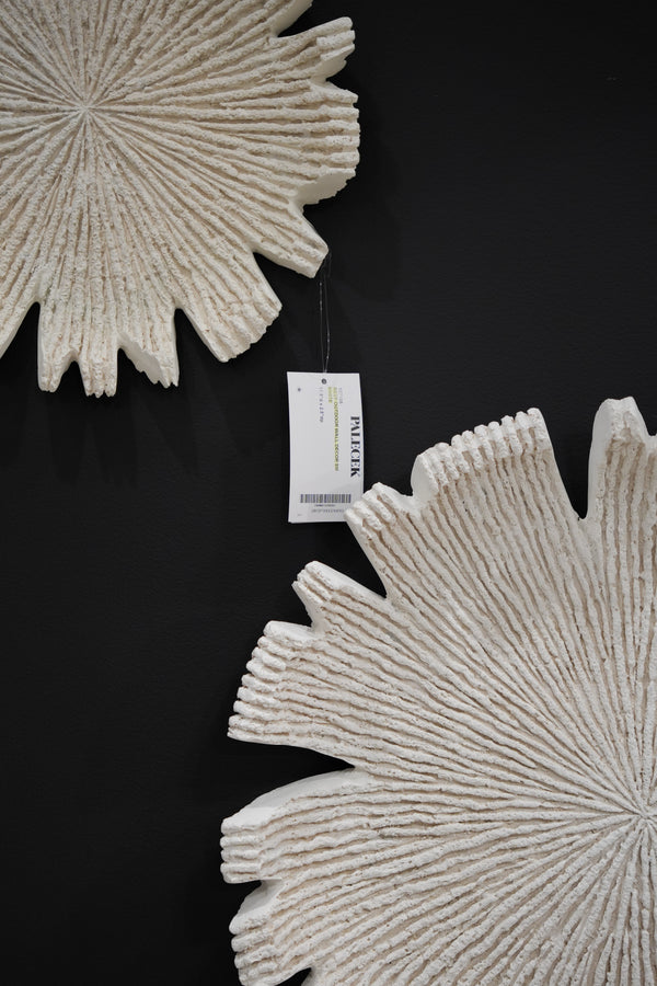 Reef Indoor/Outdoor Wall Decor, White, 2 Sizes
