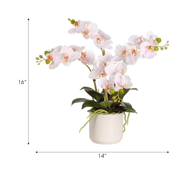 Pink Real Touch Orchid Phalaenopsis in Ceramic Pot, 16"H