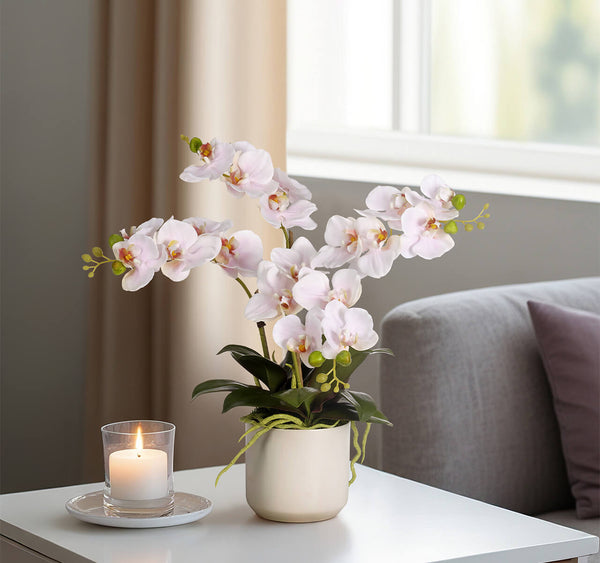 Pink Real Touch Orchid Phalaenopsis in Ceramic Pot, 16"H