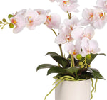 Pink Real Touch Orchid Phalaenopsis in Ceramic Pot, 16"H