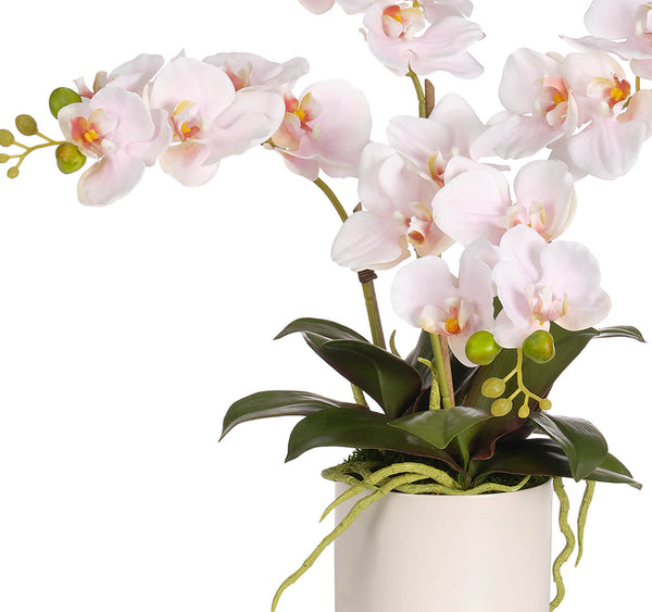 Pink Real Touch Orchid Phalaenopsis in Ceramic Pot, 16"H