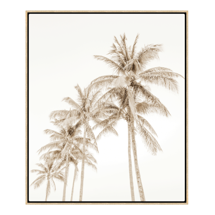 Moonlight Under the Palms, Oak Floating Canvas, 49" x 41"