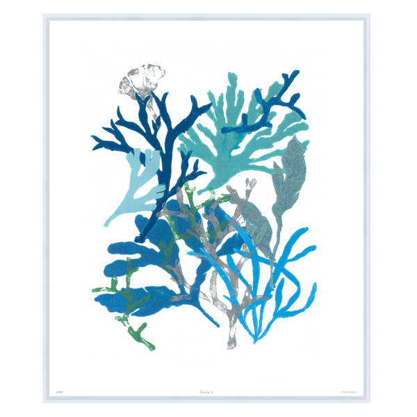 Corals II, 41" x 35"