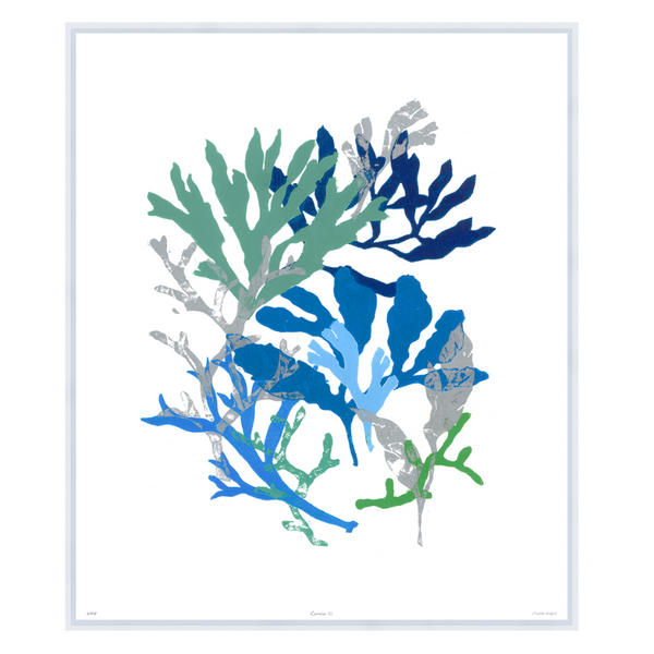 Corals III, 41" x 35"