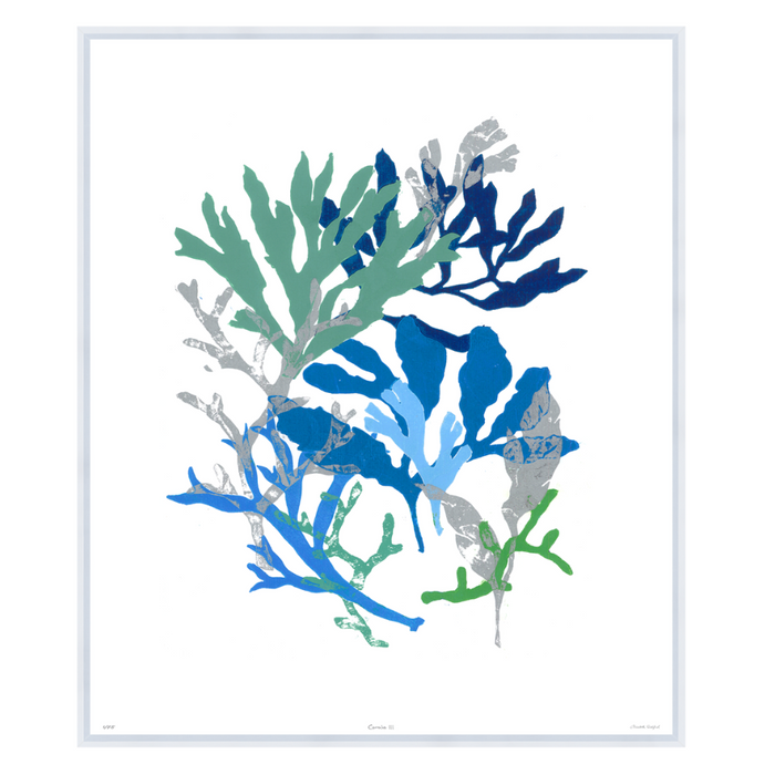 Corals III, 41" x 35"