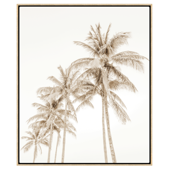 Moonlight Under the Palms, Oak Floating Canvas, 58" x 49"