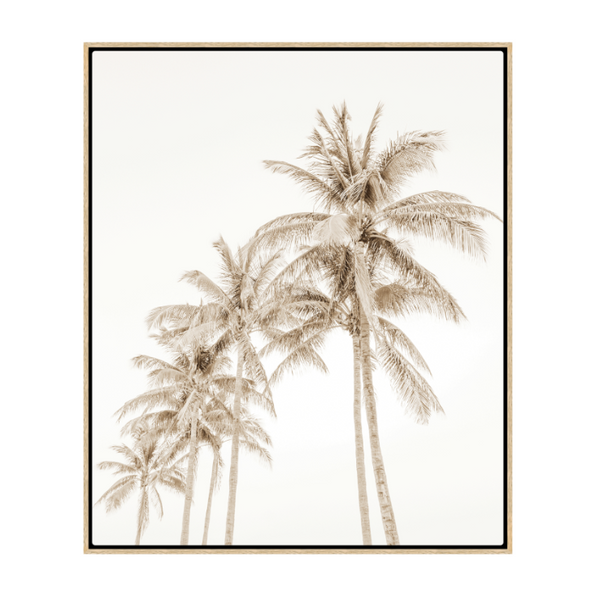 Moonlight Under the Palms, Oak Floating Canvas, 40" x 34"