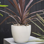 Newport White Pot, 10"