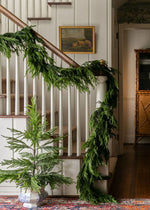 Artificial Norfolk Pine Tree - 36"