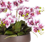 Purple Real Touch Orchid Phalaenopsis in Bowl, 16"H