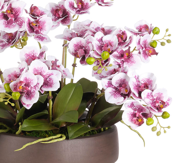 Purple Real Touch Orchid Phalaenopsis in Bowl, 16"H