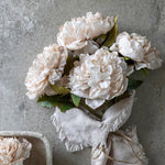 Peony Evening Dew Stem, 17.7"