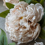 Peony Evening Dew Stem, 17.7"