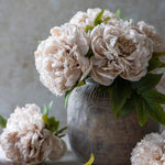 Peony Evening Dew Stem, 17.7"