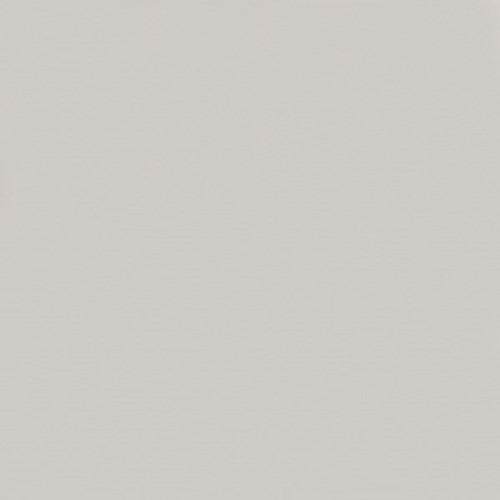 Salver Floor Mirror, 40.5"W x 3"D x 81"H