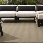 Sacdecer Indoor/Outdoor Rug, SDR04