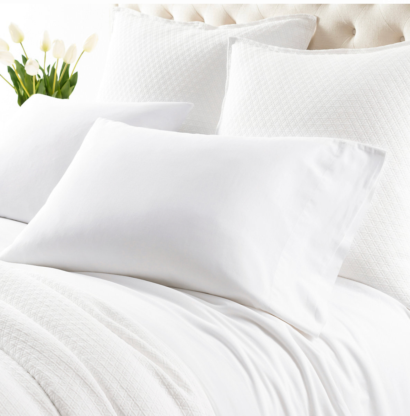 Cozy Cotton White Sheet Set, 3 Sizes