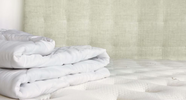 Saatva Organic Mattress Pad