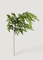 Real Touch Norfolk Pine Branch, 36"