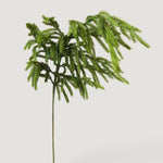 Real Touch Norfolk Pine Branch, 36"