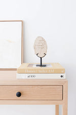 Houses: Atelier AM