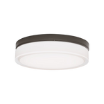 Cirque Large Outdoor Wall/ Flush Mount, Bronze