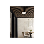 Cirque Large Outdoor Wall/ Flush Mount, Bronze