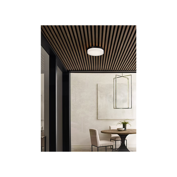 Cirque Large Outdoor Wall/ Flush Mount, Bronze