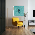 Bahamas Shark, 30" x 30"