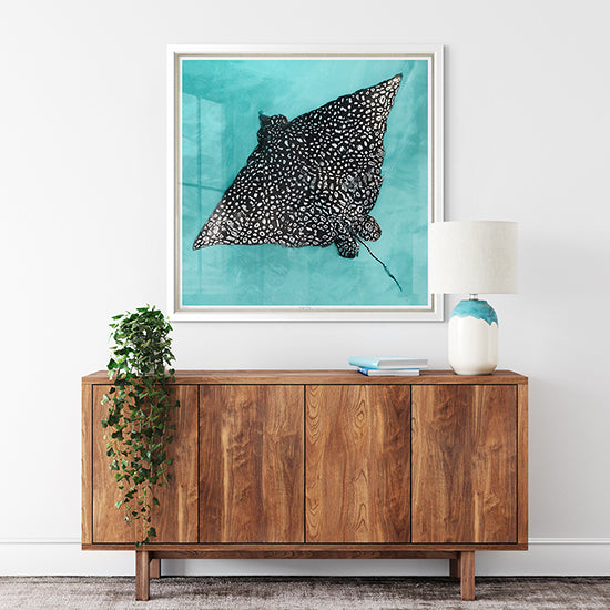 Eagle Ray, 30" x 30"