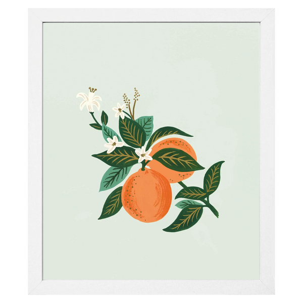 Orange Blossom Framed Print, 11" x 14"