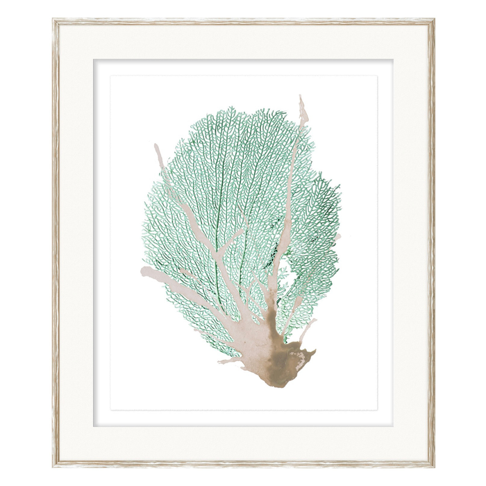 Spa Coral III, 23" x 27"