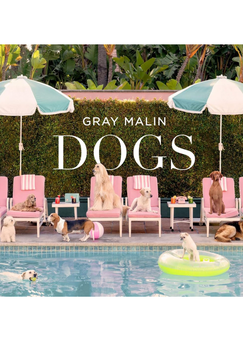 Gray Malin: Dogs