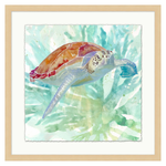 Turtle 2, 32" W x 32" H