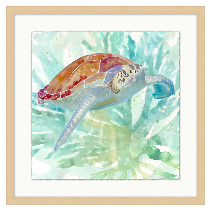 Turtle 2, 32" W x 32" H